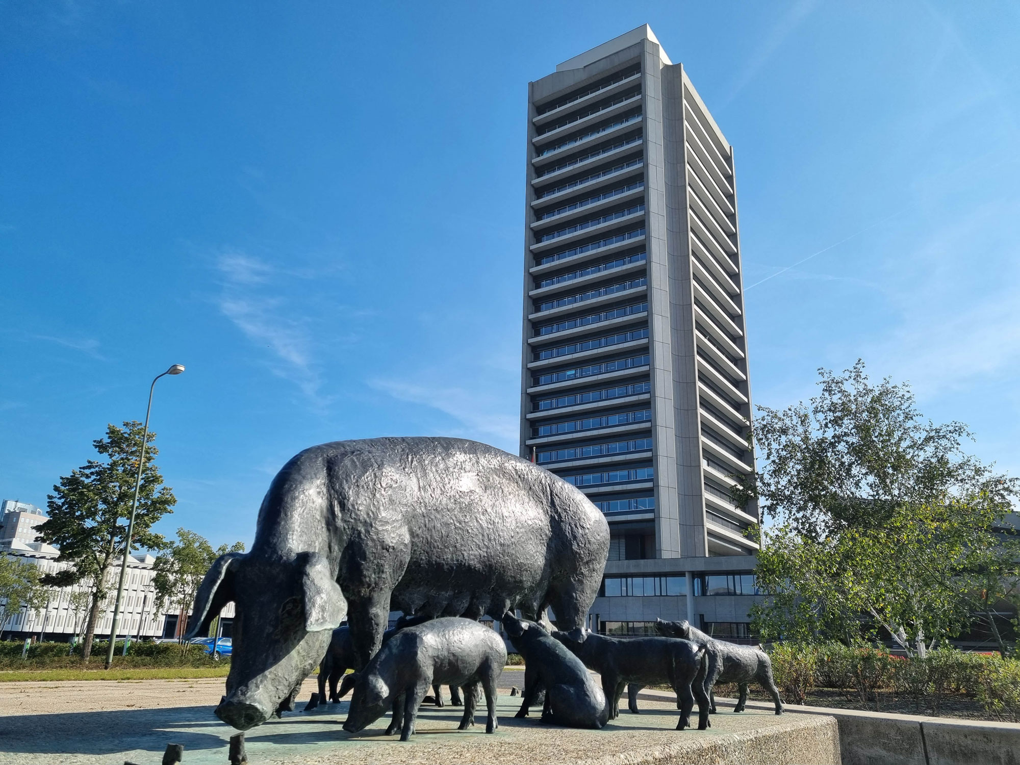 VOOR OVERHEDEN DIE VERGUNNINGEN VERLENEN, TOEZICHT HOUDEN EN HANDHAVEN.